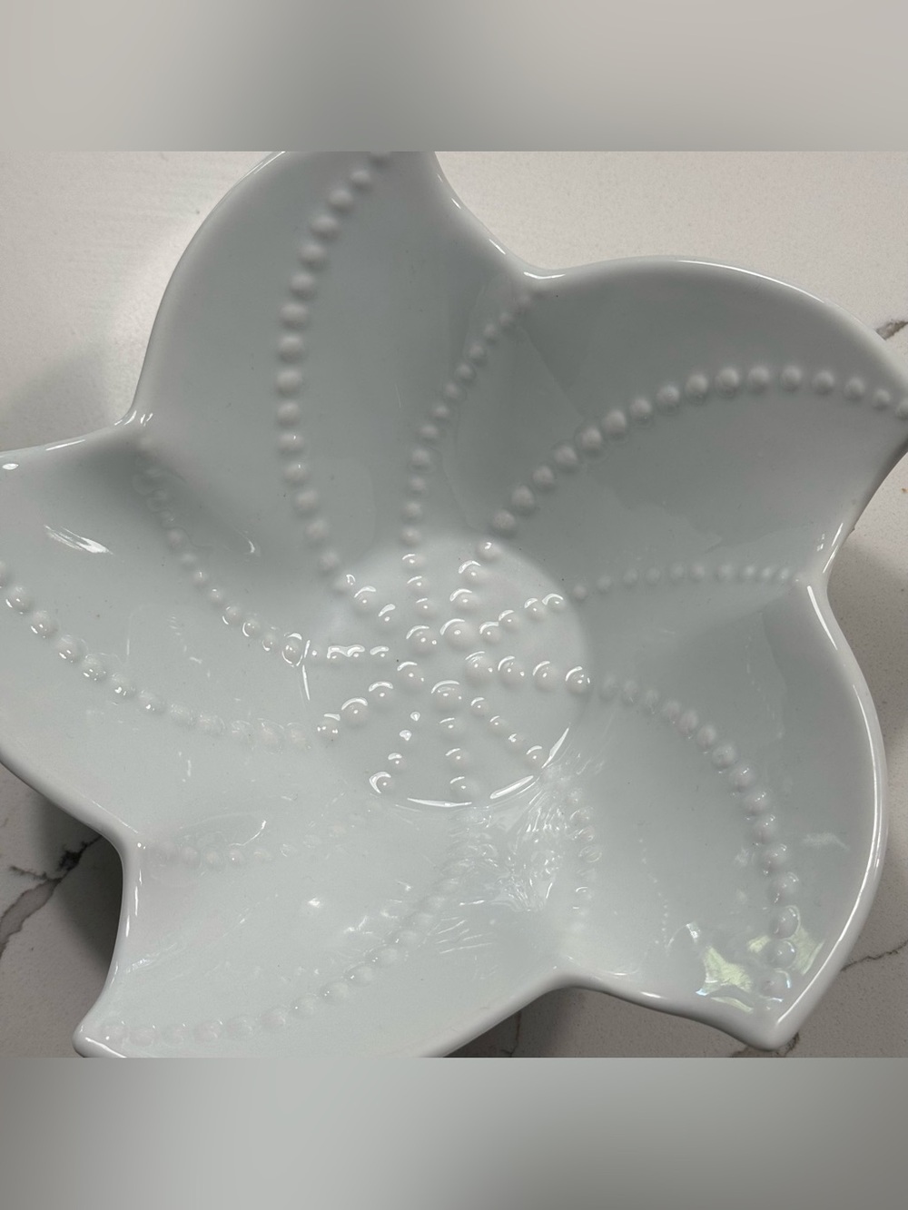 Pottery Barn Seashore StarFish Shaped Serving Bowls Ocean Set of 2 EUC - Picture 2 of 16